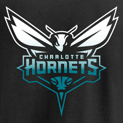 Charlotte Hornets Gradient Logo Long Sleeve T-Shirt Discount