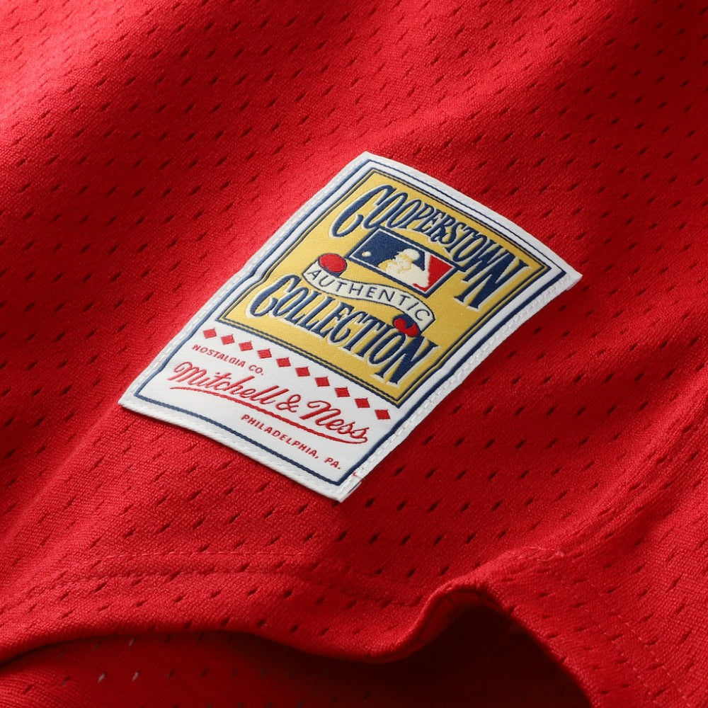 Barry Larkin Cincinnati Reds Mitchell & Ness Authentic Batting Practice Jersey | MLB US
