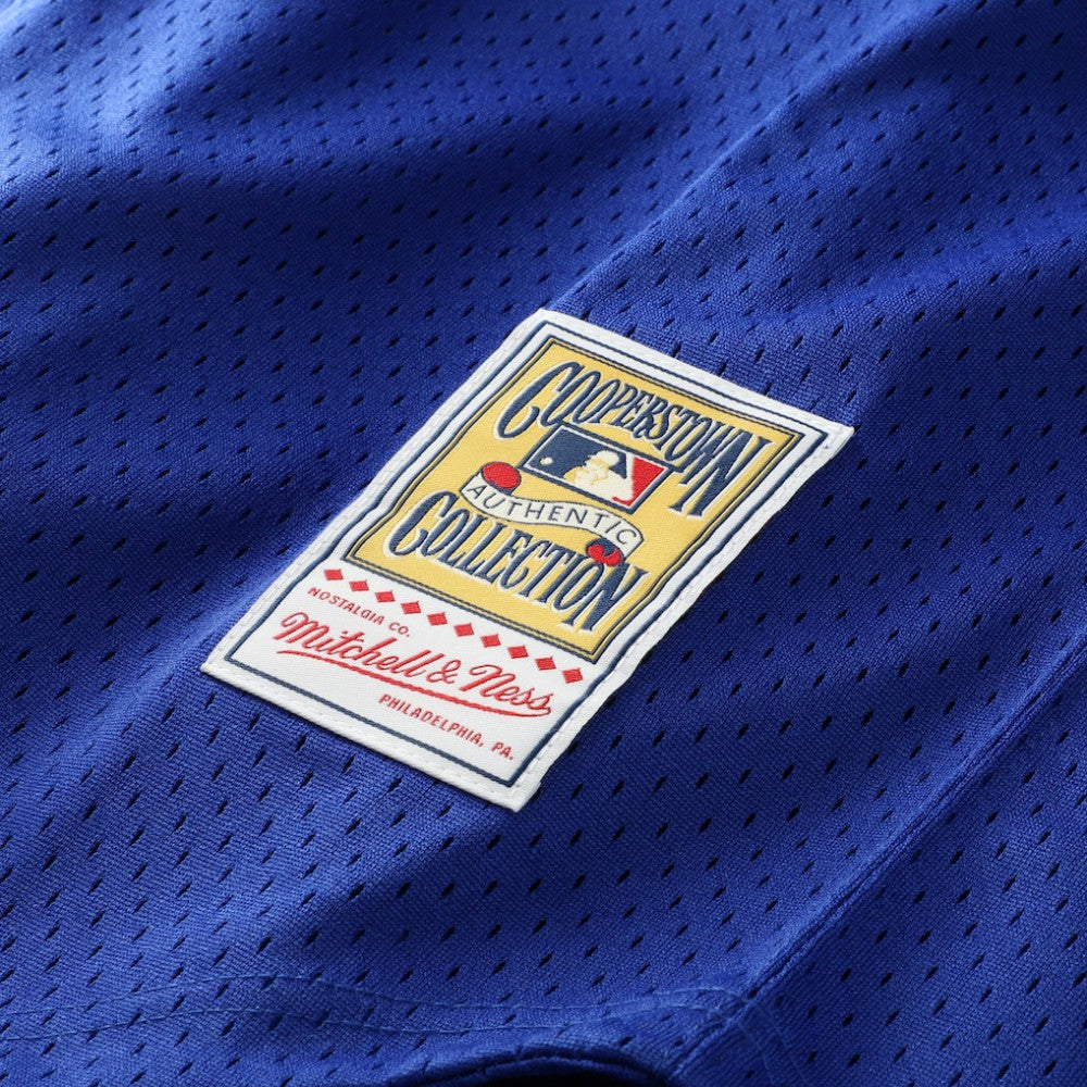 Bo Jackson Kansas City Royals Mitchell & Ness Cooperstown Collection Big & Tall Mesh Batting Practice Jersey | MLB Discount