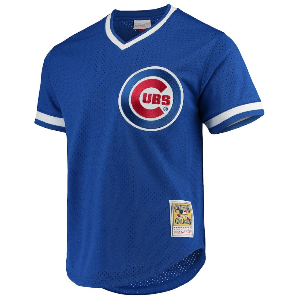 Andre Dawson Chicago Cubs Mitchell & Ness Authentic Batting Practice Jersey | MLB Sale