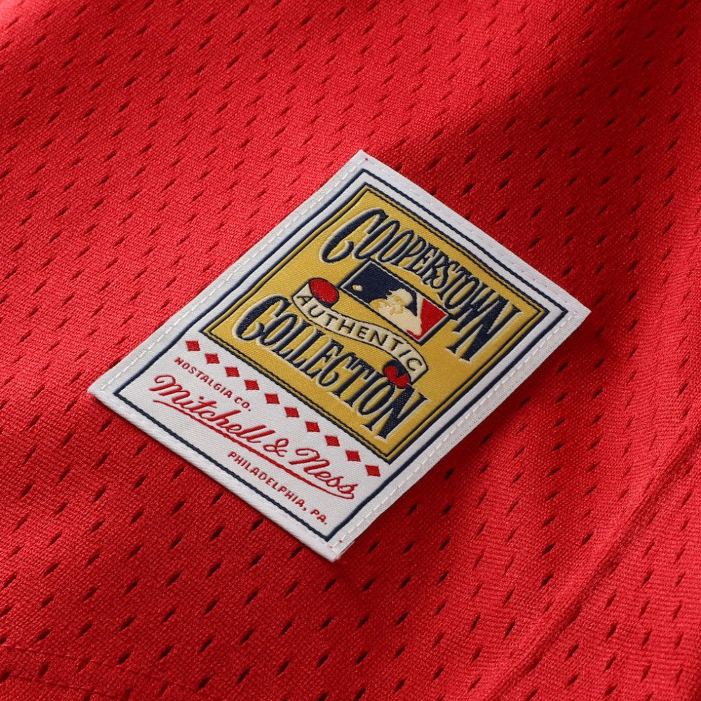 Ozzie Smith St. Louis Cardinals Mitchell & Ness Youth Cooperstown Collection Mesh Batting Practice Jersey | MLB New