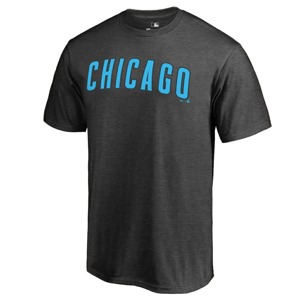 Chicago Cubs Blue Wordmark T-Shirt | MLB Near me