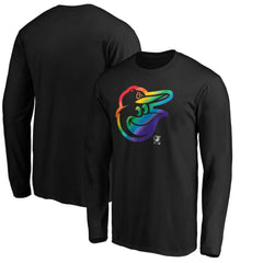 Baltimore Orioles Team Pride Logo Long Sleeve T-Shirt | MLB Sale
