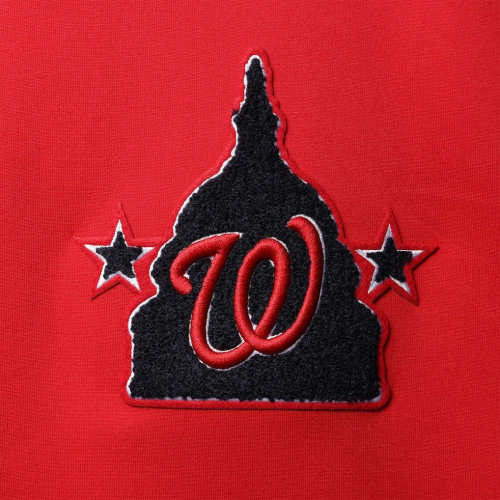 Washington Nationals Pro Standard Logo Pullover Hoodie | MLB New