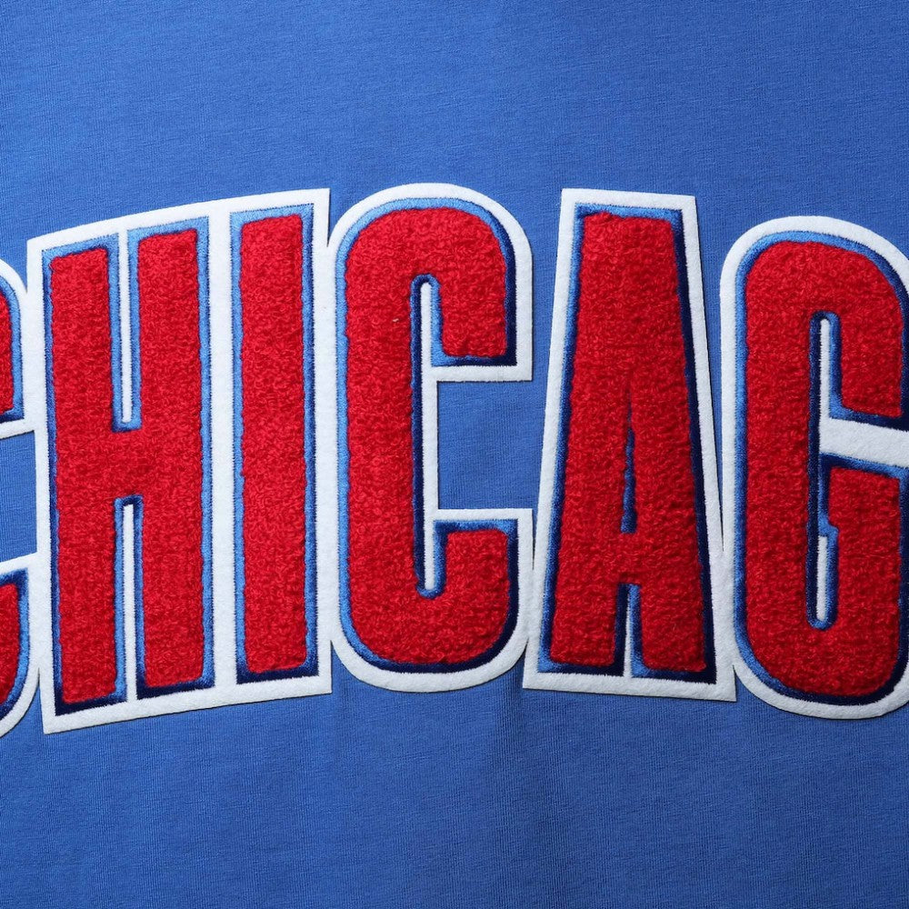 Chicago Cubs Pro Standard Team Logo T-Shirt | MLB On Sale