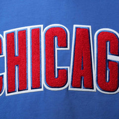 Chicago Cubs Pro Standard Team Logo T-Shirt | MLB On Sale