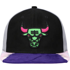 Chicago Bulls Day 5 Snapback Hat New