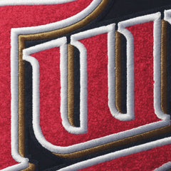 Minnesota Twins Pro Standard Team T-Shirt | MLB Sale