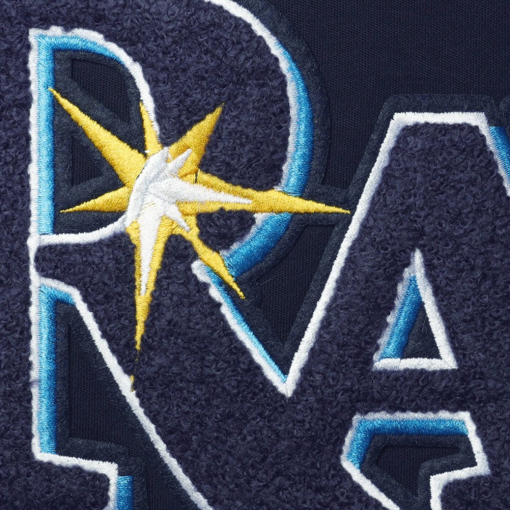 Tampa Bay Rays Pro Standard Team T-Shirt | MLB Outlet