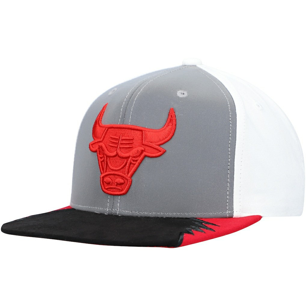 Chicago Bulls Day 5 Snapback Hat For Sale