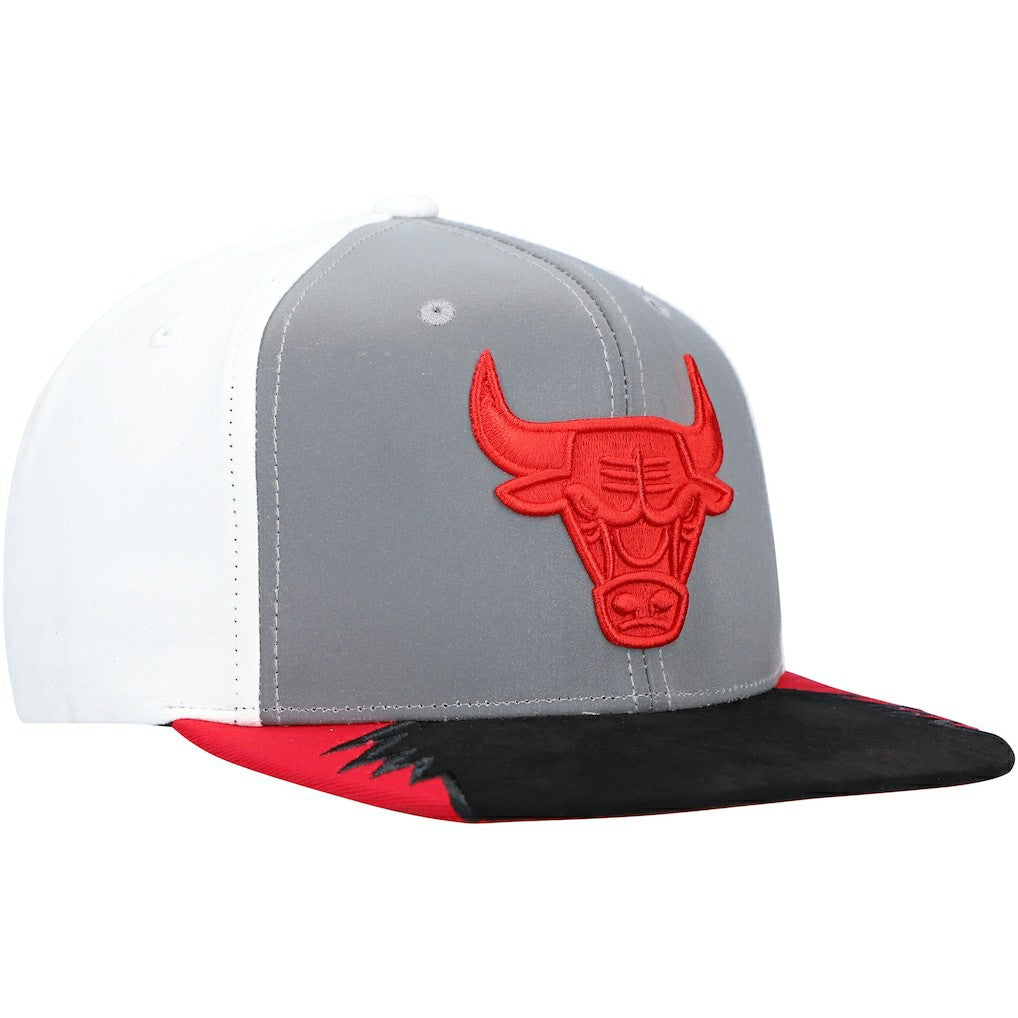 Chicago Bulls Day 5 Snapback Hat For Sale