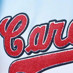 St. Louis Cardinals Pro Standard Ombre T-Shirt | MLB Sale