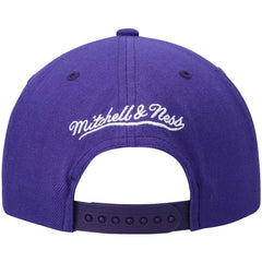Sacramento Kings Ground 2.0 Snapback Hat sale Online