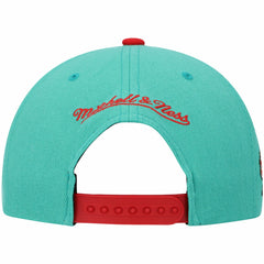 Memphis Grizzlies Hardwood Classics Snapback Hat For Sale