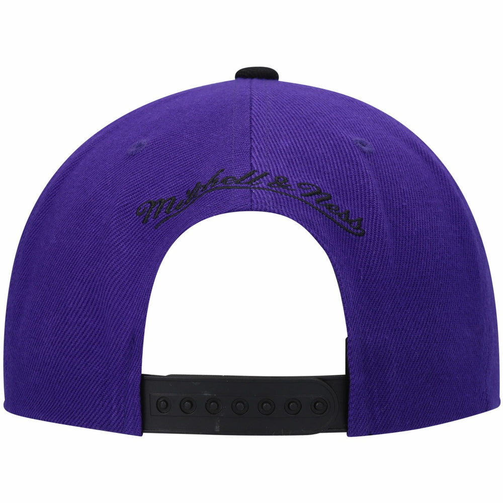 Sacramento Kings Hardwood Classics Snapback Hat Online