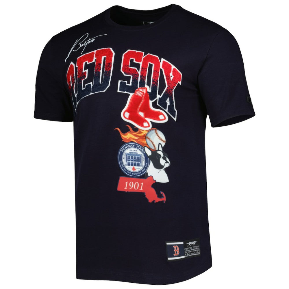 Boston Red Sox Pro Standard Hometown T-Shirt | MLB US