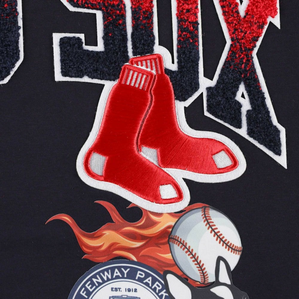 Boston Red Sox Pro Standard Hometown T-Shirt | MLB US