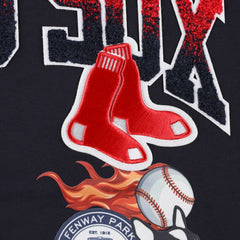 Boston Red Sox Pro Standard Hometown T-Shirt | MLB US
