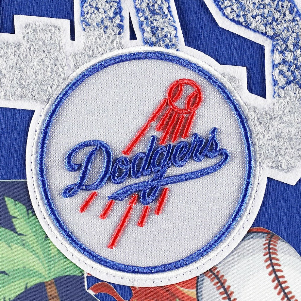 Los Angeles Dodgers Pro Standard Hometown T-Shirt | MLB Shop