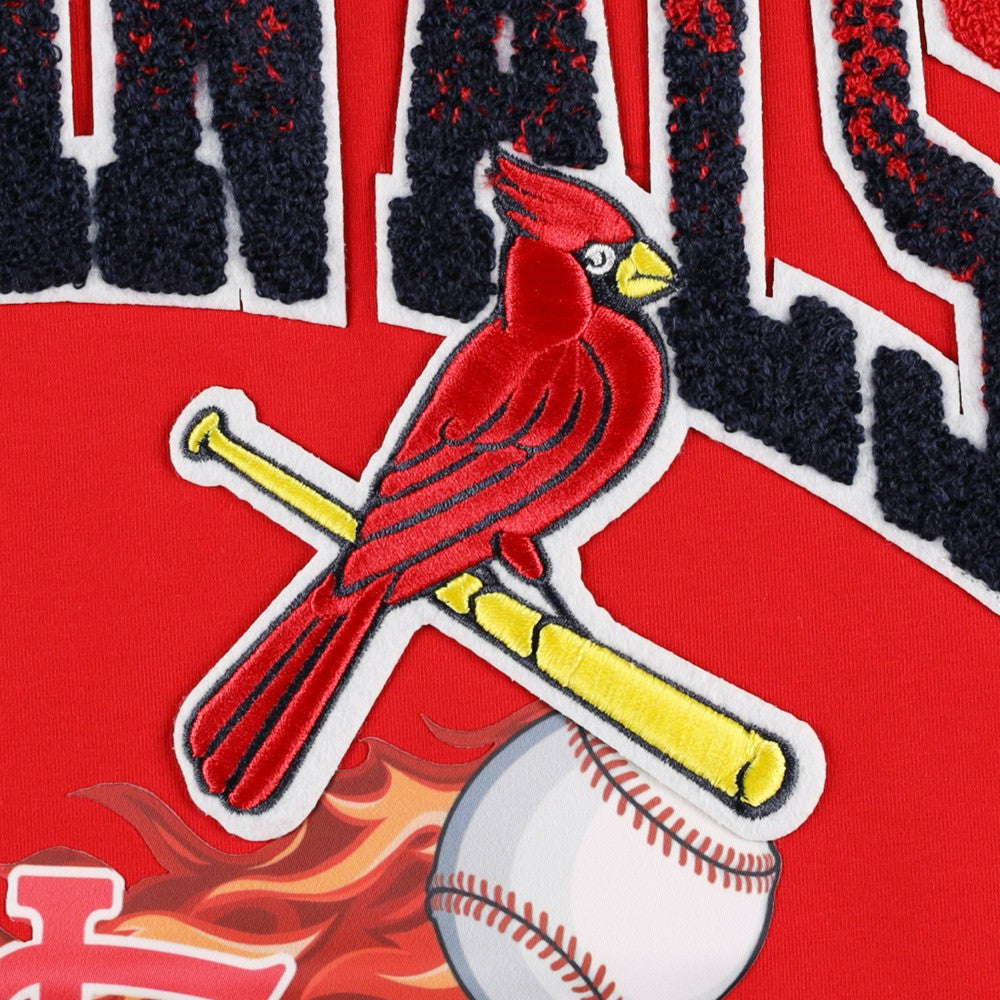 St. Louis Cardinals Pro Standard Hometown T-Shirt | MLB Online