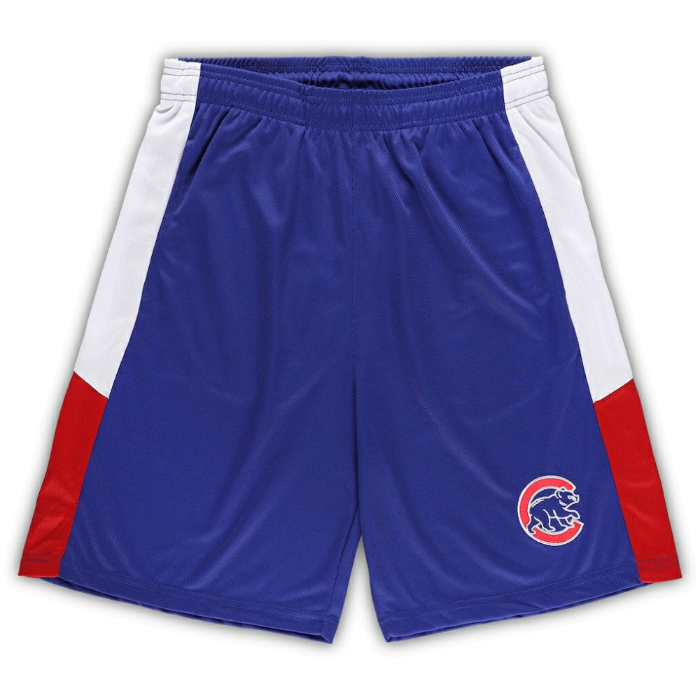 Chicago Cubs Big & Tall Team Shorts | MLB New