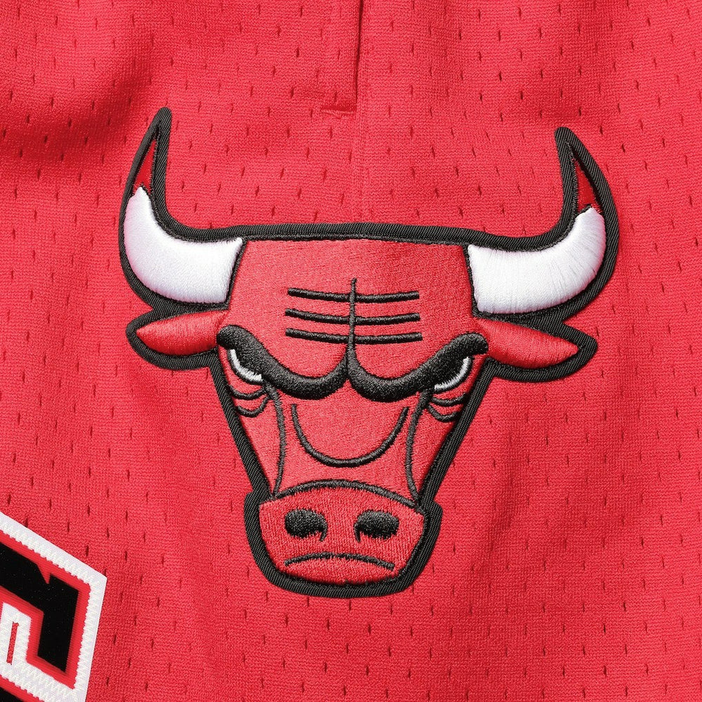 Chicago Bulls Pro Standard Mesh Capsule Shorts Outlet