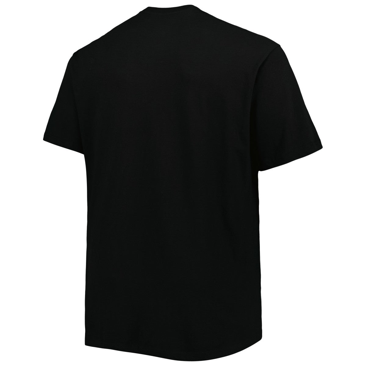 Toronto Raptors Big & Tall Heart & Soul T-Shirt On Sale