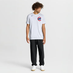 Chicago Cubs Nike New Legend Wordmark Dri-FIT T-Shirt | MLB For sale