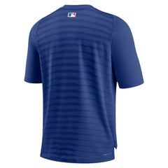 Chicago Cubs Nike Authentic Collection Pregame Raglan Performance V-Neck T-Shirt | MLB Sale