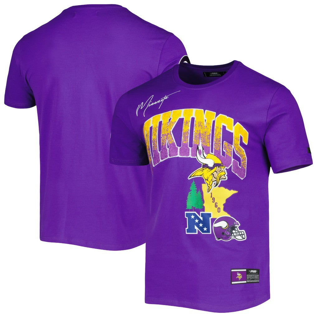 Minnesota Vikings  Pro Standard Hometown Collection T-Shirt