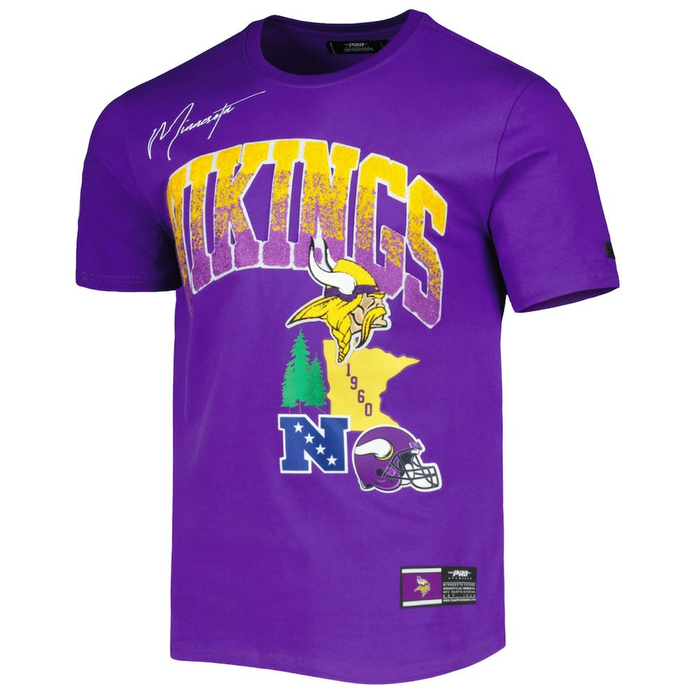 Minnesota Vikings  Pro Standard Hometown Collection T-Shirt