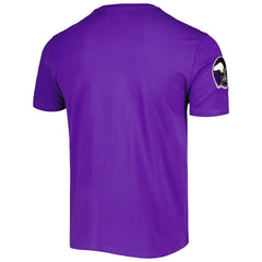 Minnesota Vikings  Pro Standard Hometown Collection T-Shirt