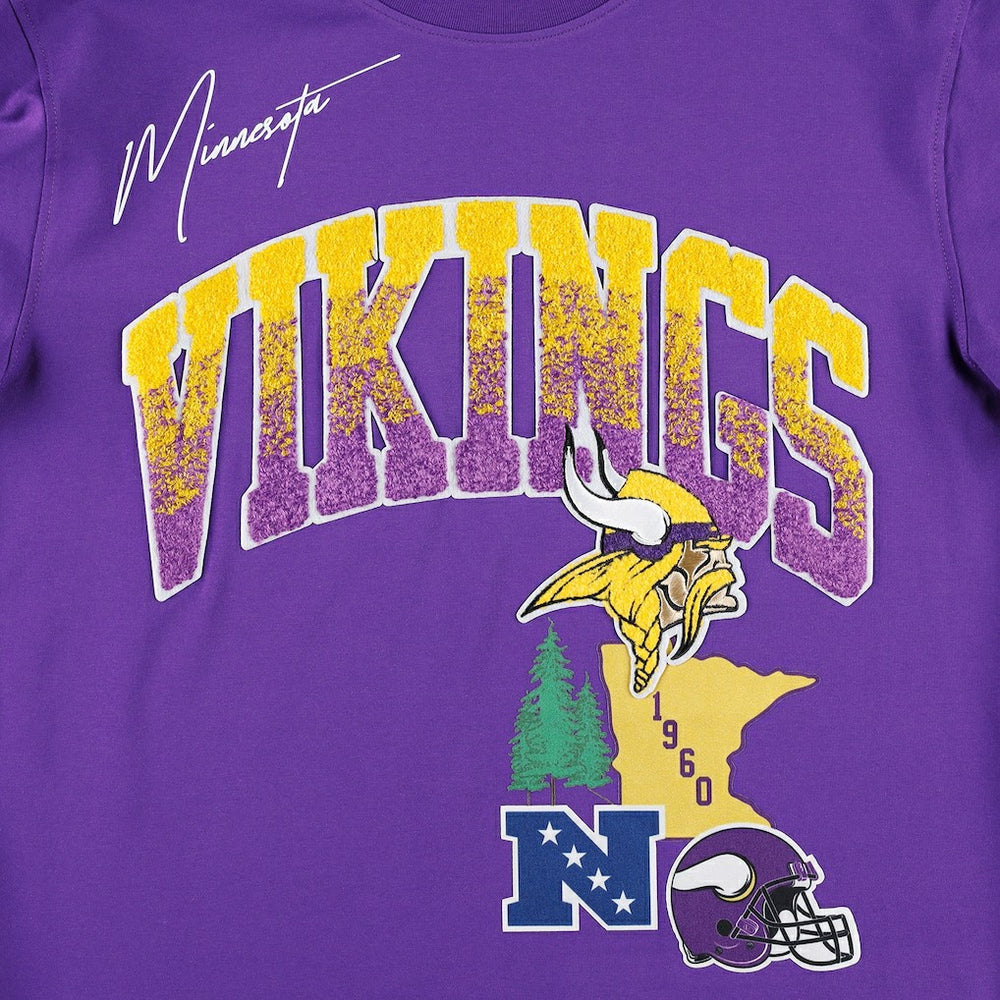 Minnesota Vikings  Pro Standard Hometown Collection T-Shirt