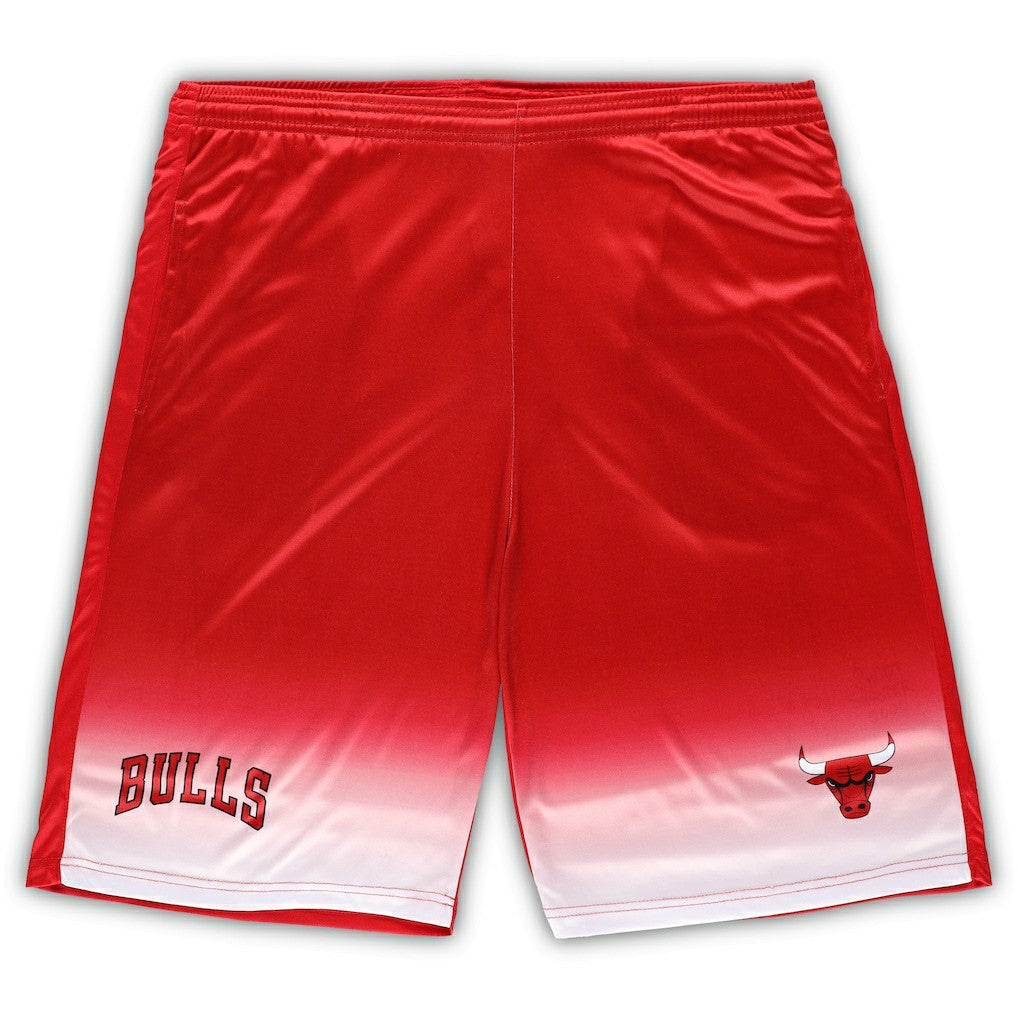 Chicago Bulls Big & Tall Fadeaway Shorts Discount