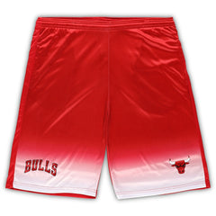 Chicago Bulls Big & Tall Fadeaway Shorts Discount