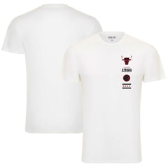 Chicago Bulls Sportiqe Unisex 1966 Collection City Flag Bingham T-Shirt sale Online