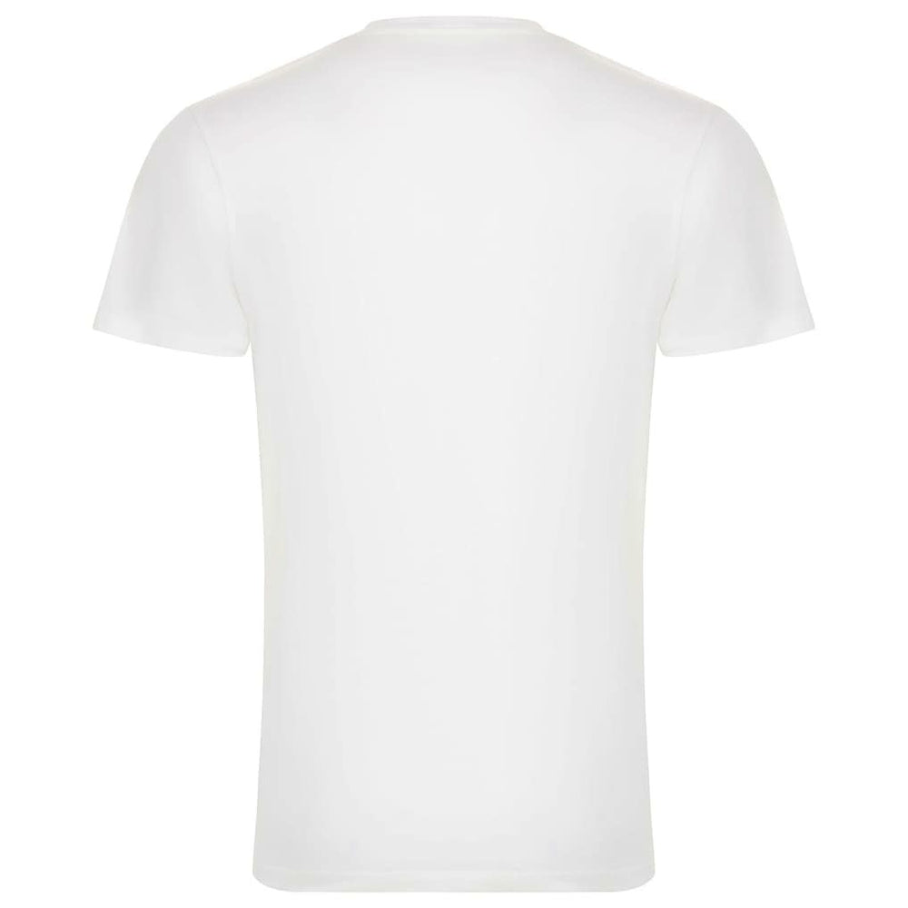 Chicago Bulls Sportiqe Unisex 1966 Collection City Flag Bingham T-Shirt sale Online