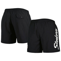 Pittsburgh Steelers Mitchell & Ness Team Essentials Nylon Shorts