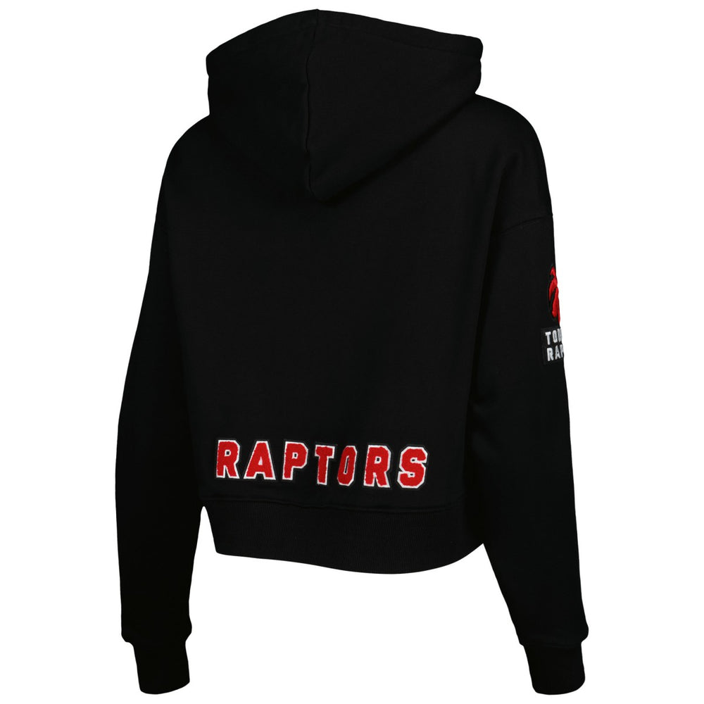 Toronto Raptors Pro Standard Women's Classic Fleece Cropped Pullover Hoodie Outlet