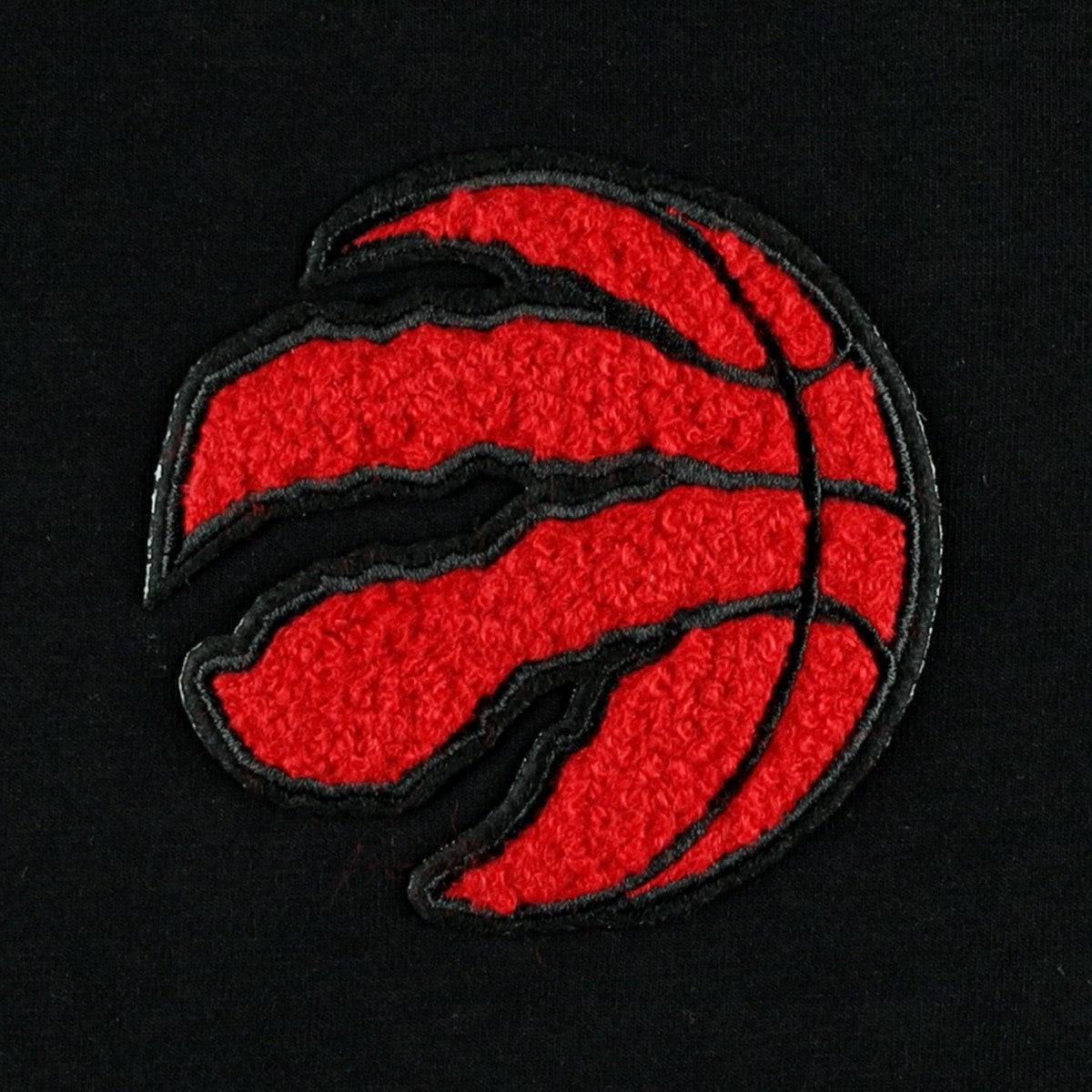 Toronto Raptors Pro Standard Women's Classics Boxy T-Shirt New