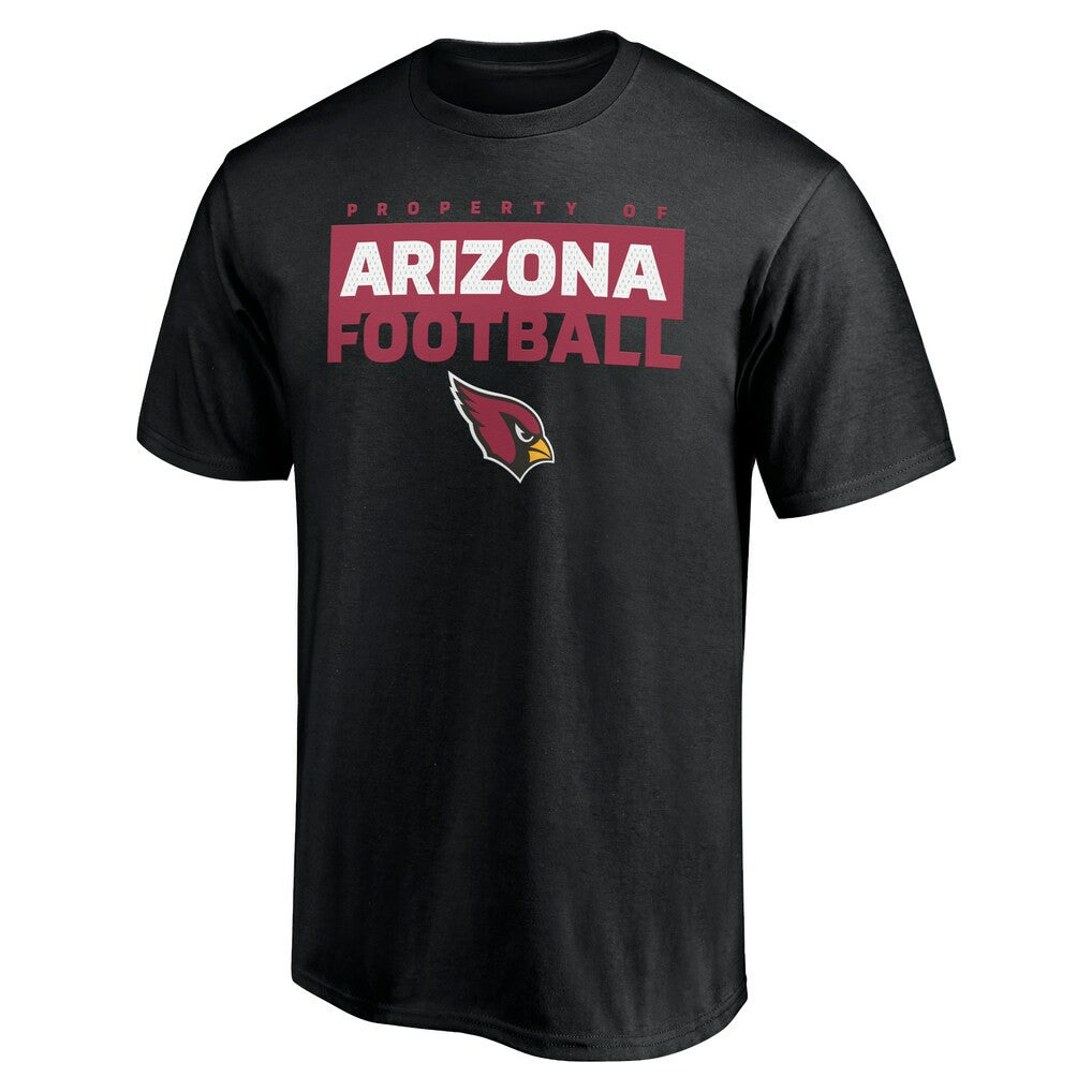 Arizona Cardinals  Gain Ground T-Shirt