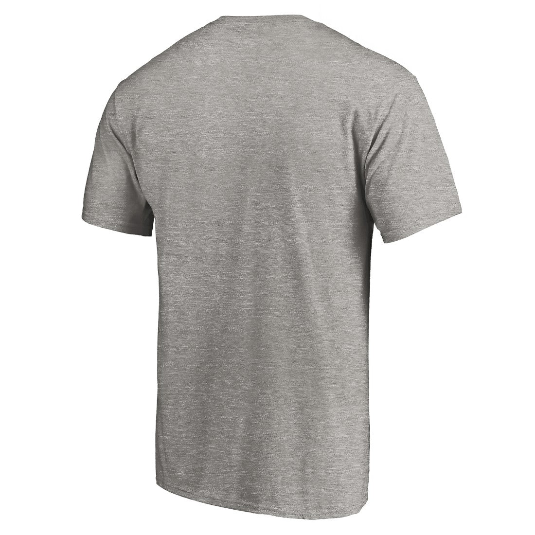 Detroit Lions  True Color T-Shirt