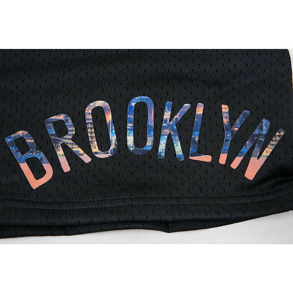 Brooklyn Nets Pro Standard City Scape Mesh Shorts Online