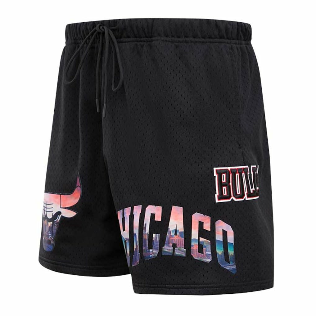 Chicago Bulls Pro Standard City Scape Mesh Shorts Outlet