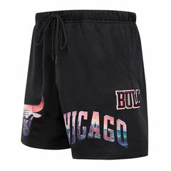 Chicago Bulls Pro Standard City Scape Mesh Shorts Outlet