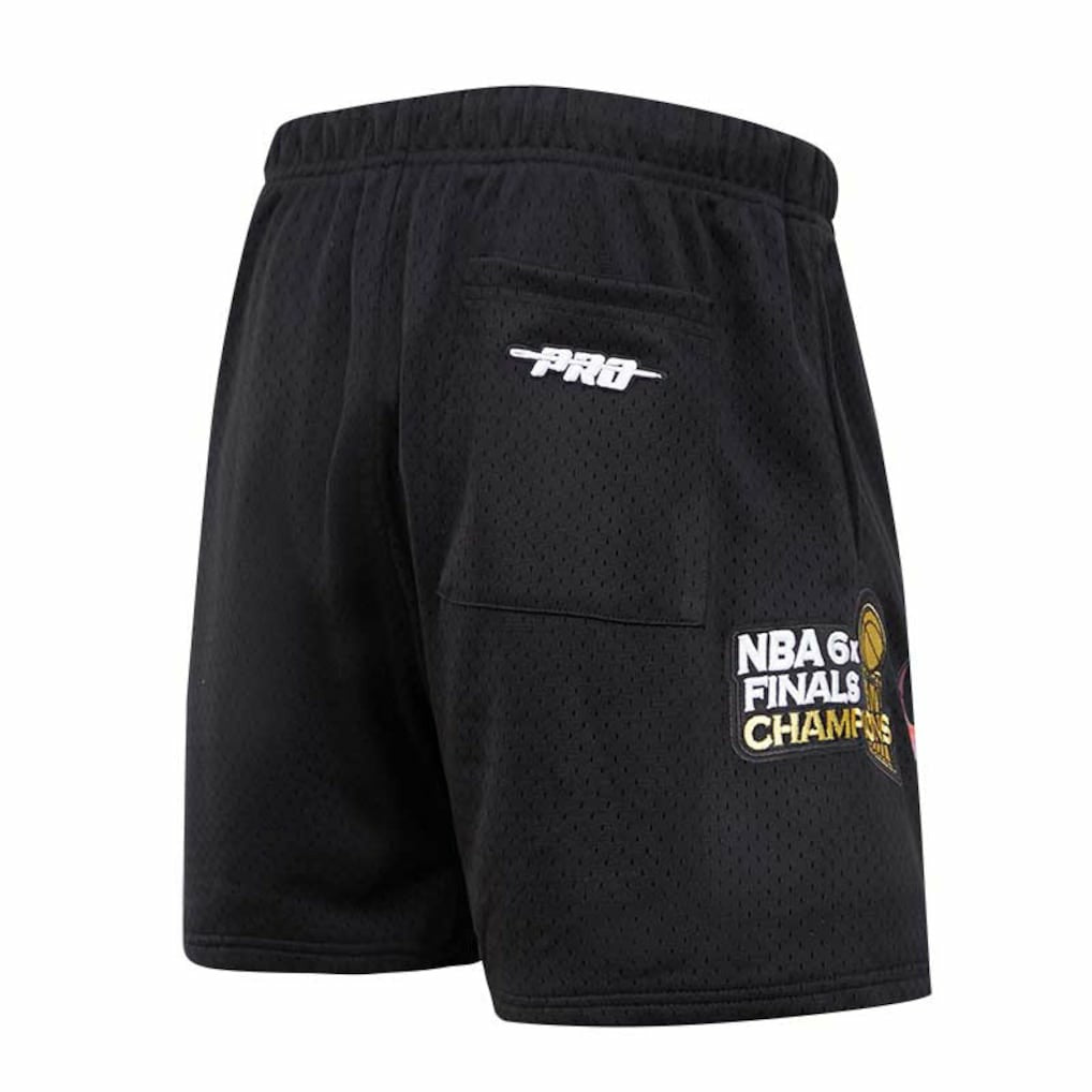 Chicago Bulls Pro Standard City Scape Mesh Shorts Outlet