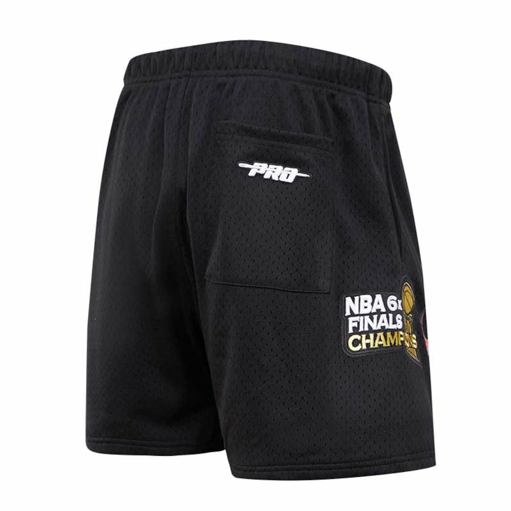 Chicago Bulls Pro Standard City Scape Mesh Shorts Outlet