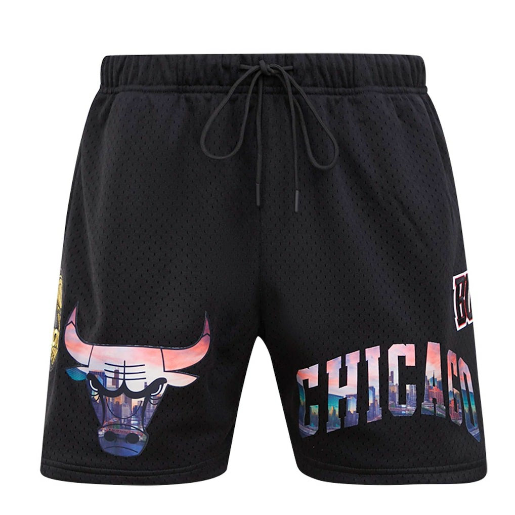 Chicago Bulls Pro Standard City Scape Mesh Shorts Outlet