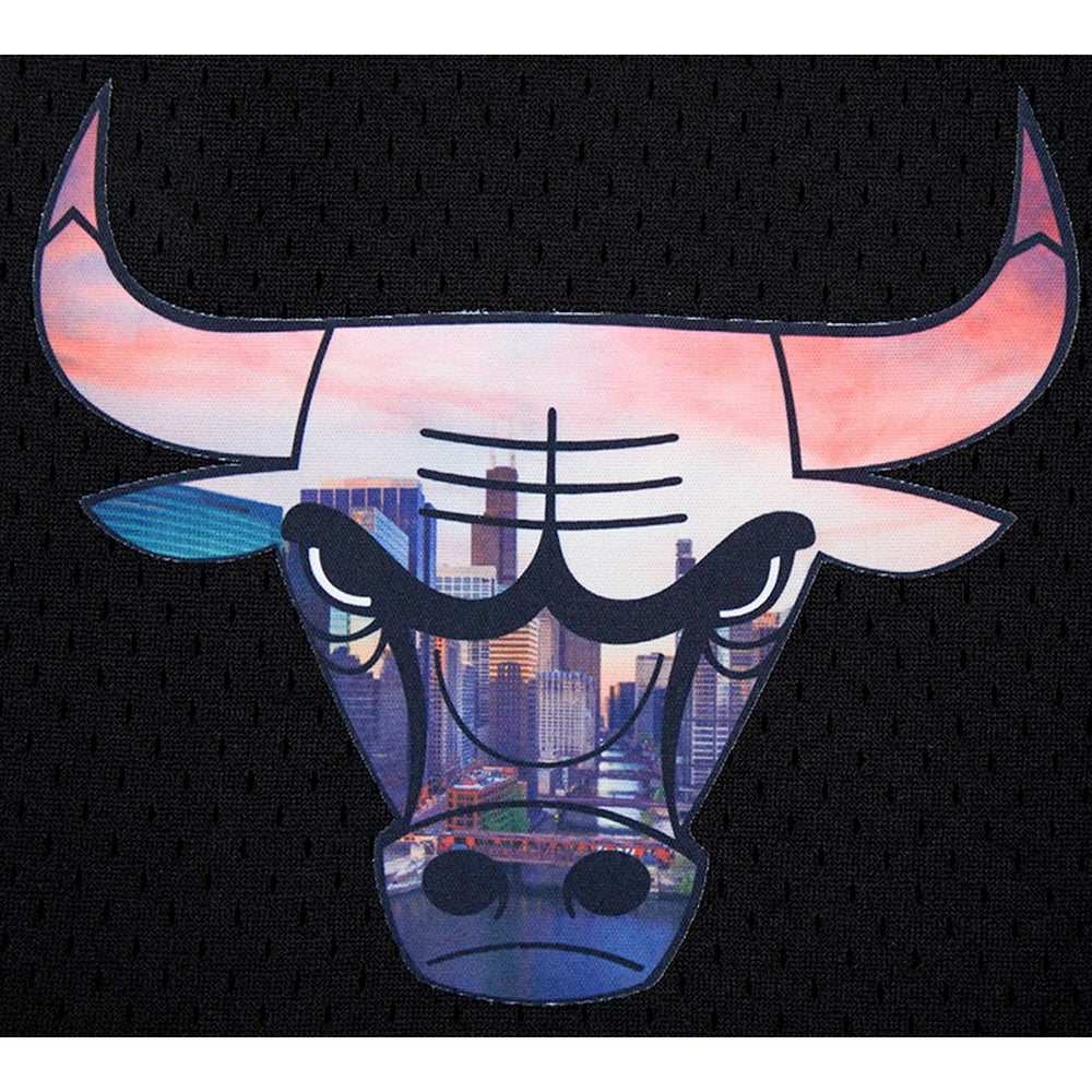 Chicago Bulls Pro Standard City Scape Mesh Shorts Outlet