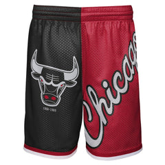 Chicago Bulls Youth Hardwood Classics Big Face 5.0 Shorts Discount